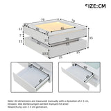 Square Coffee Table with Glass Top and LED Lights | Modern Centre Table for Living Room